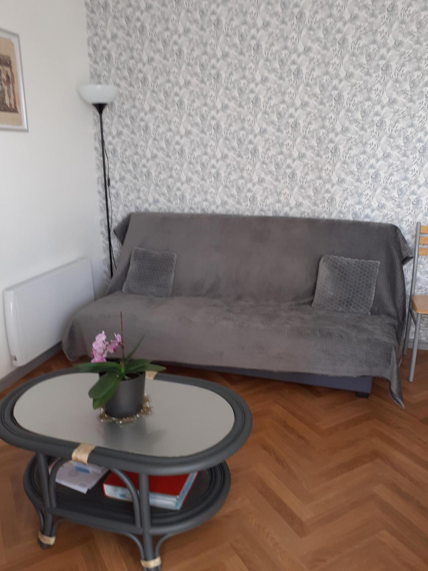 Appartement Pour Famille Amis Ou Colegue Cholet Exteriör bild